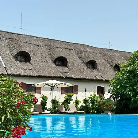 The Of History - Anno 1830 Hotel 4*