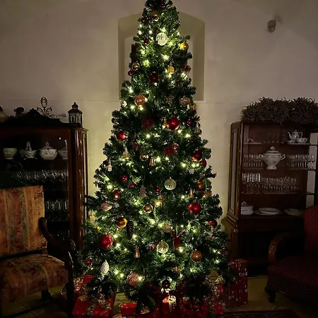 The Of History - Anno 1830 티하니