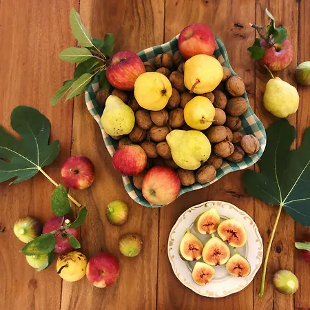 The Of History - Anno 1830