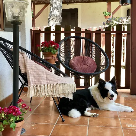 호텔 The Of History - Anno 1830 티하니