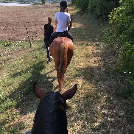 호텔 The Of History - Anno 1830 티하니