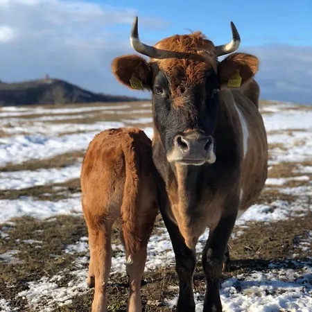 The Of History - Anno 1830 호텔 4*