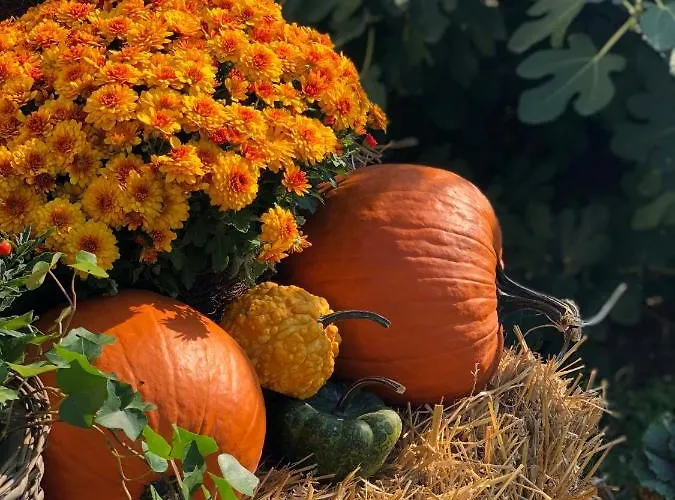 The Of History - Anno 1830 Hotel