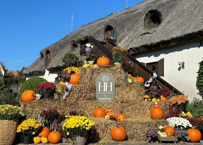 The Of History - Anno 1830 Tihany