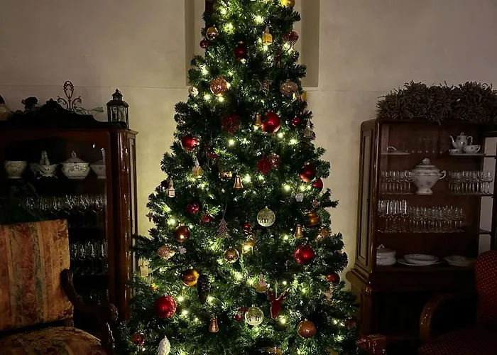 The Of History - Anno 1830 ティハニ