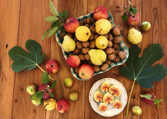 The Of History - Anno 1830