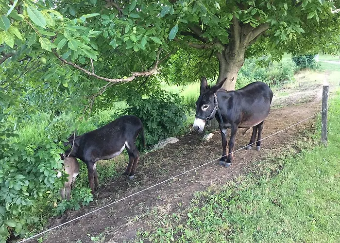 The Of History - Anno 1830 4*