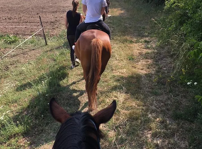 Hotel The Of History - Anno 1830 Tihany