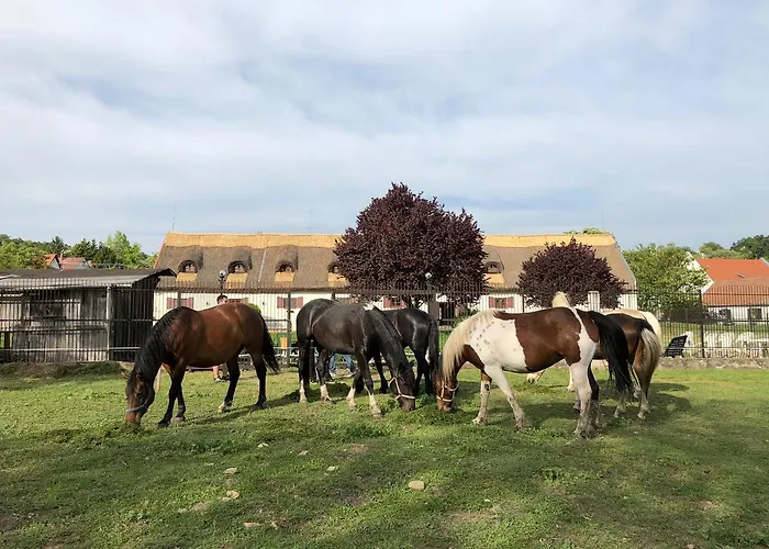 The Of History - Anno 1830 Hotel Tihany