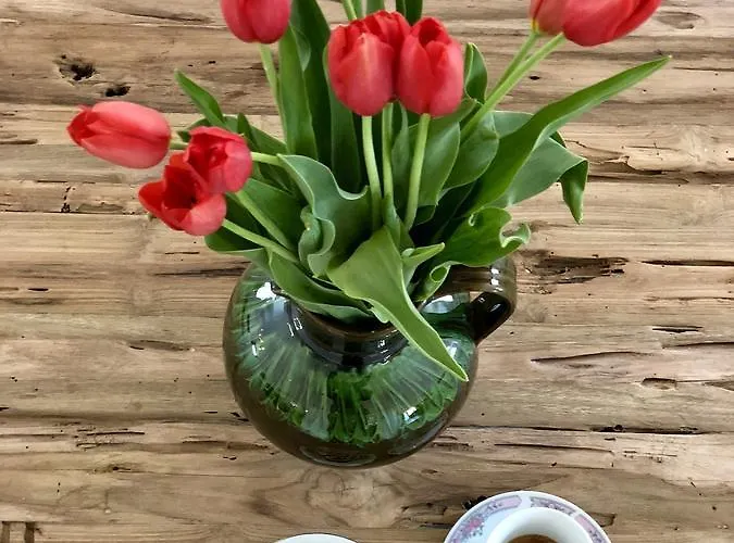 The Of History - Anno 1830 Отель