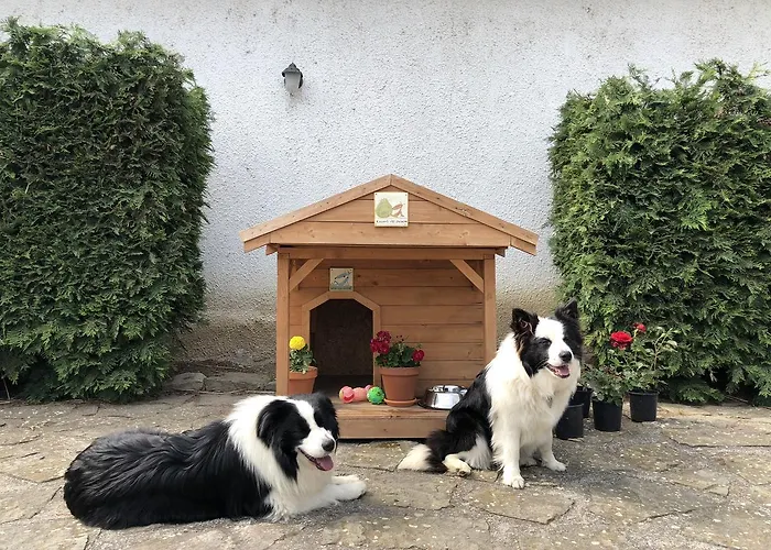 The Of History - Anno 1830 Hotel